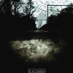 Some Pedestrians : Blackbird